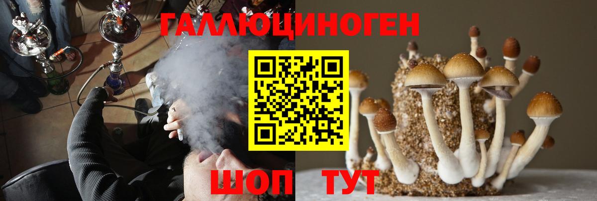 Учалы  Галлюциногенные грибы Psilocybe  Вход с VPN 
